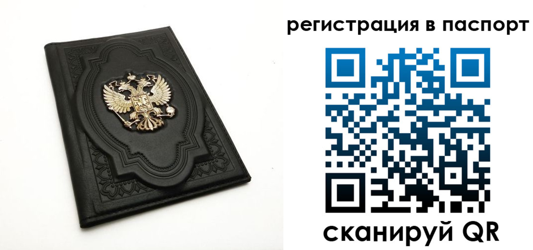 прописка регистрация в Ростовской области